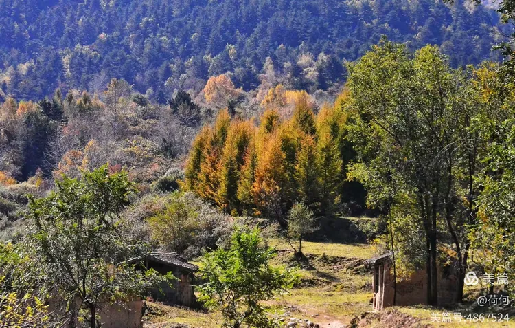 庞泉沟